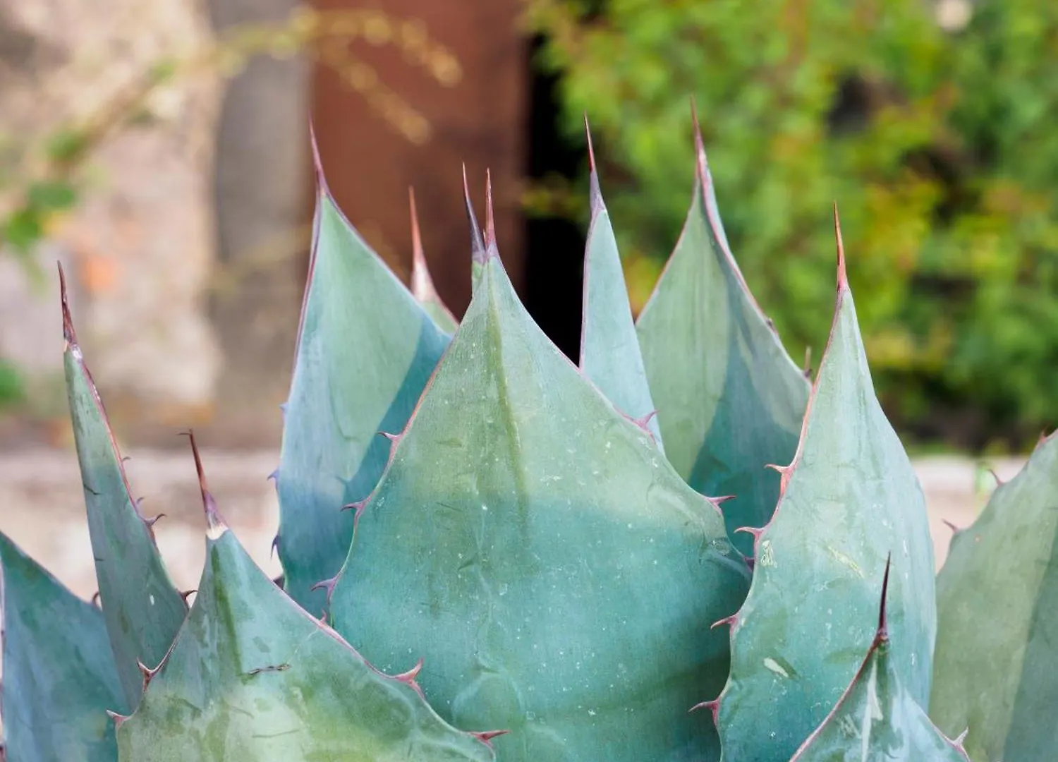 Podere Dell'Etna Segreta - Essential Nature Hotel & Glamping Biancavilla Resort