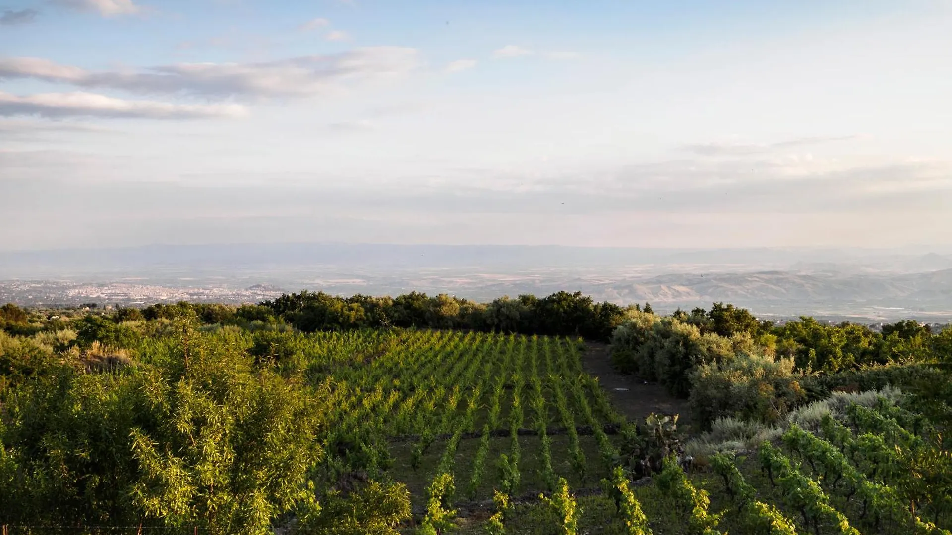 Podere Dell'Etna Segreta - Essential Nature Hotel & Glamping Biancavilla Resort